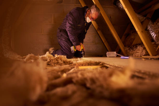 Best Insulation Maintenance and Repair in Ben Bolt, TX